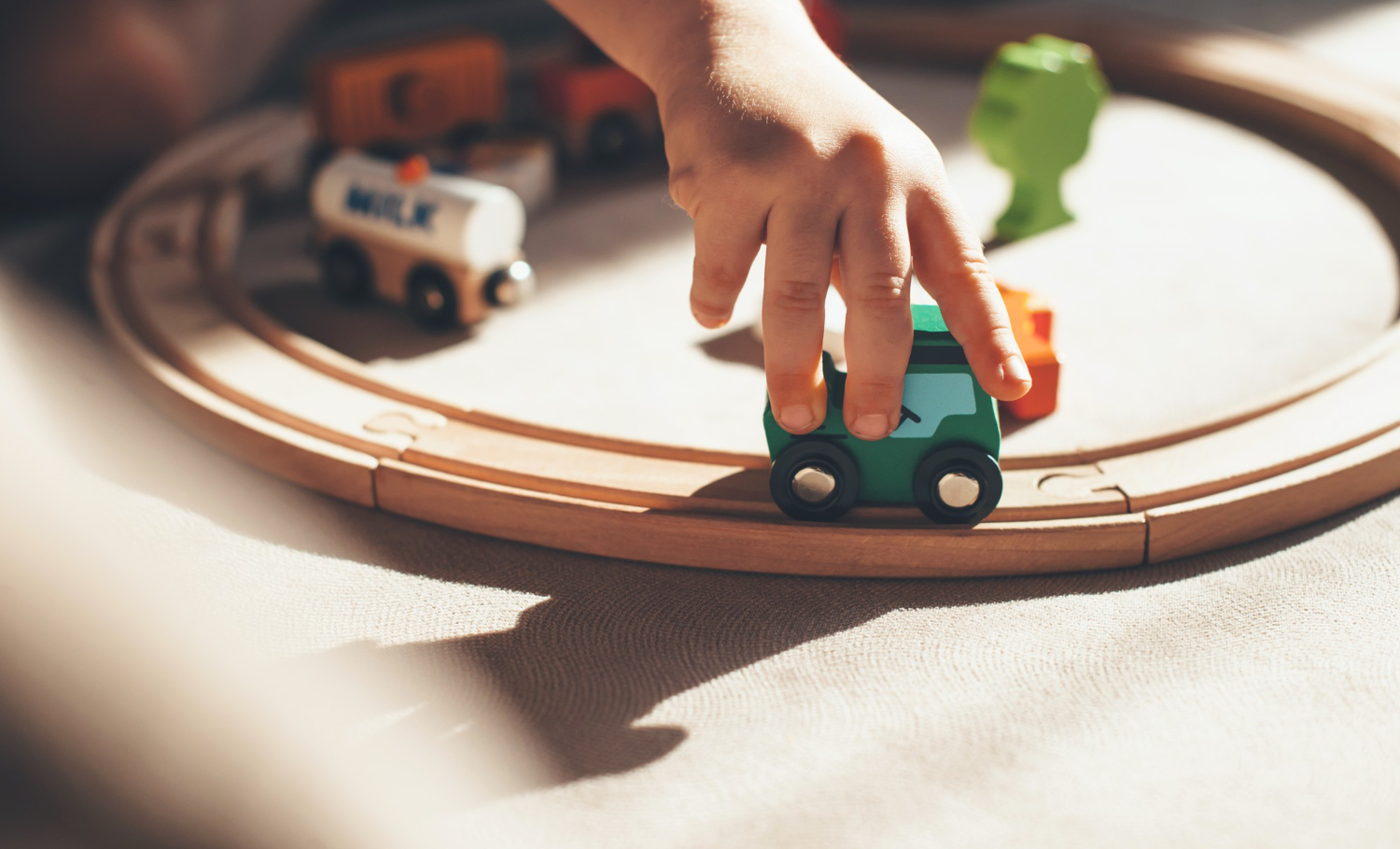 Sustainable Toys